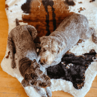 PupRug® Animal Print Memory Foam Dog Bed: Brown Faux Cowhide