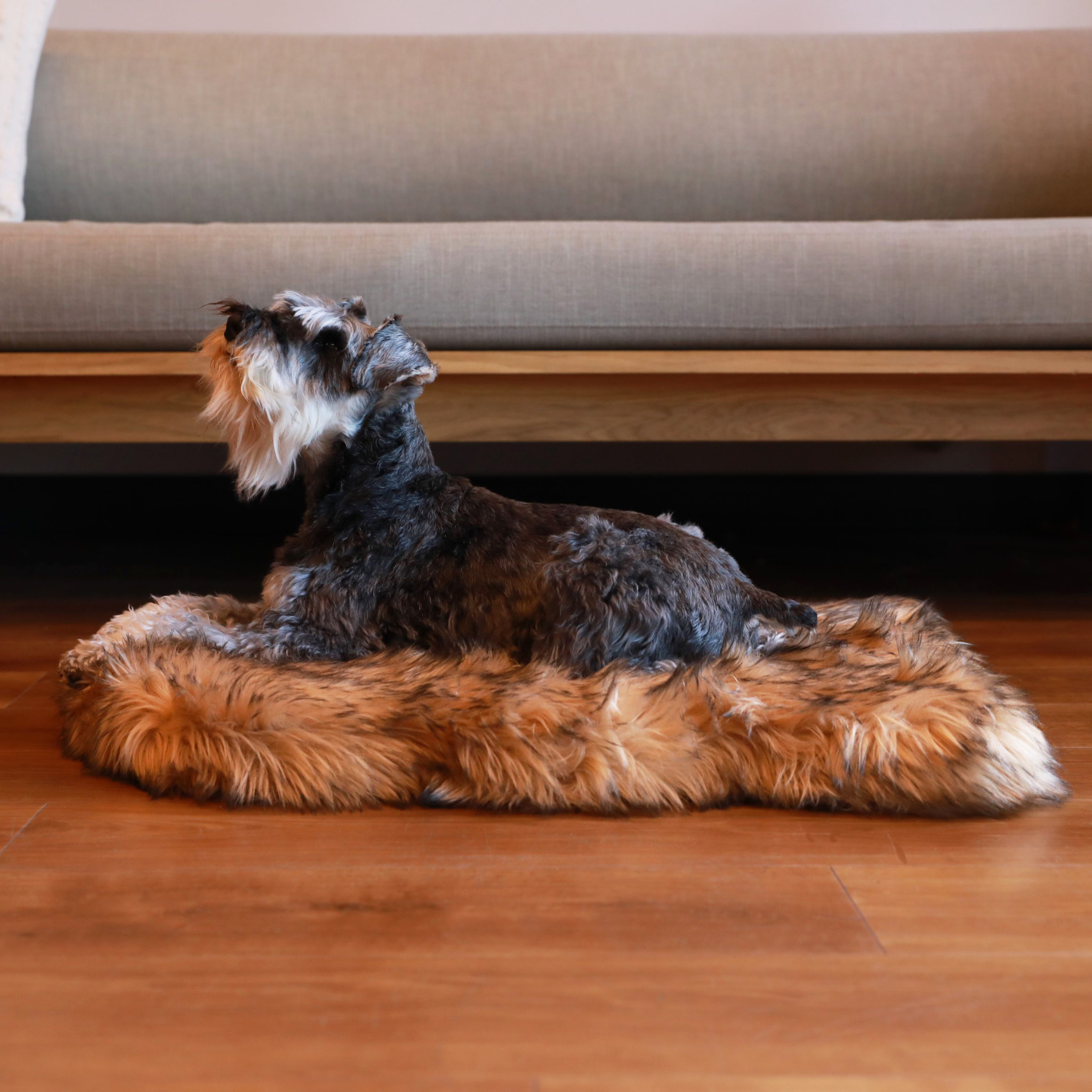 PupRug by Paw.com® Faux Fur Orthopedic Dog Bed: Curve Sable Tan