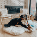PupRug by Paw.com® Faux Fur Orthopedic Dog Bed: Curve Polar White