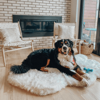 PupRug by Paw.com® Faux Fur Orthopedic Dog Bed: Curve Polar White