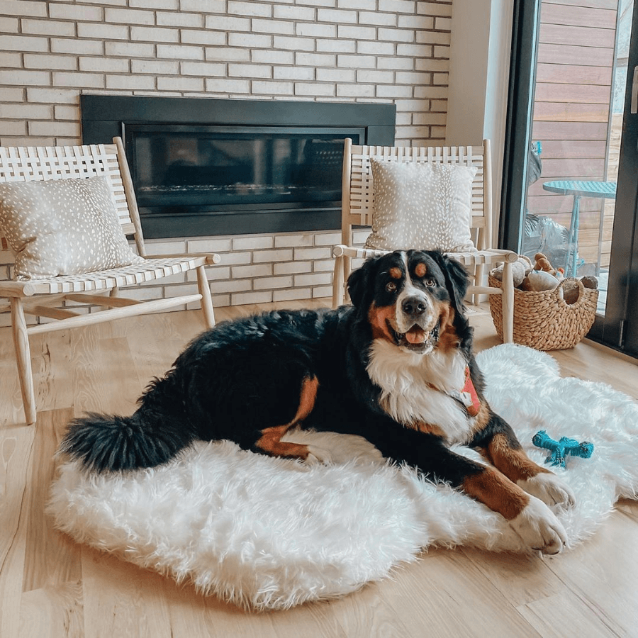 PupRug by Paw.com® Faux Fur Orthopedic Dog Bed: Curve Polar White