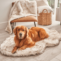 PupRug by Paw.com® Faux Fur Orthopedic Dog Bed: Curve White with Brown Accents