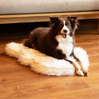 PupRug by Paw.com® Faux Fur Orthopedic Dog Bed: Curve White with Brown Accents