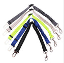 Dog Seat Belt: Adjustable & Elastic