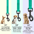 Biothane Waterproof Dog Leash, 4 ft