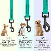 Biothane Waterproof Dog Leash, 4 ft
