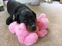Large SQUEAKY Dog & Puppy Toys / For 50-70 lb. Pups