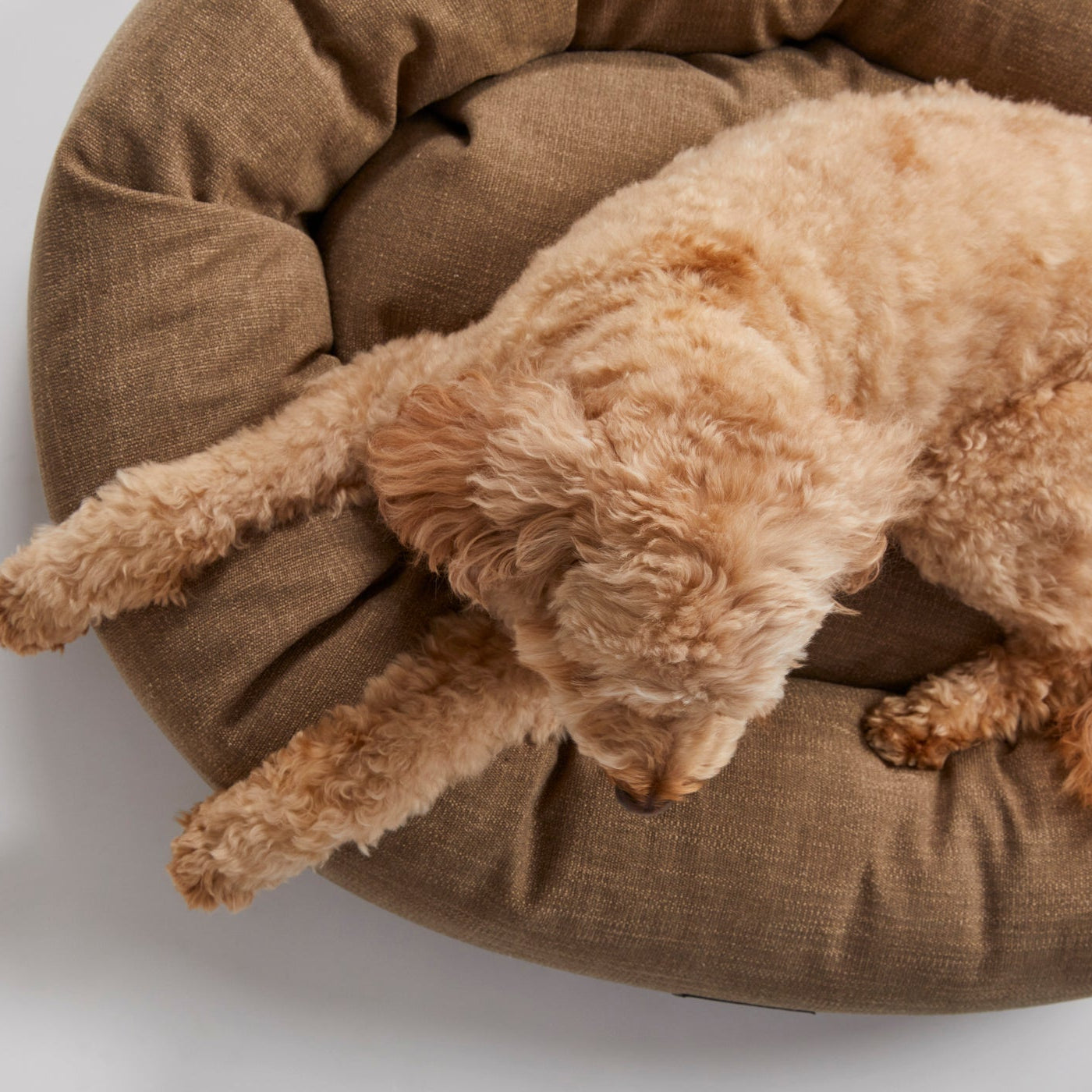 Warby Beige Donut Dog Bed by Jax & Bones
