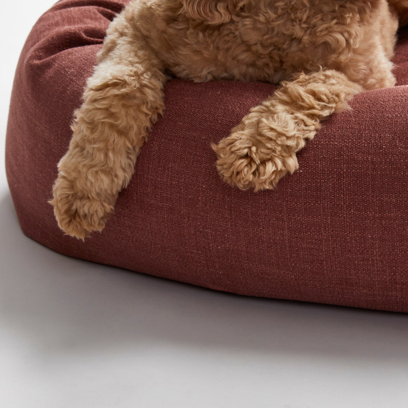 Warby Cranberry Donut Dog Bed by Jax & Bones