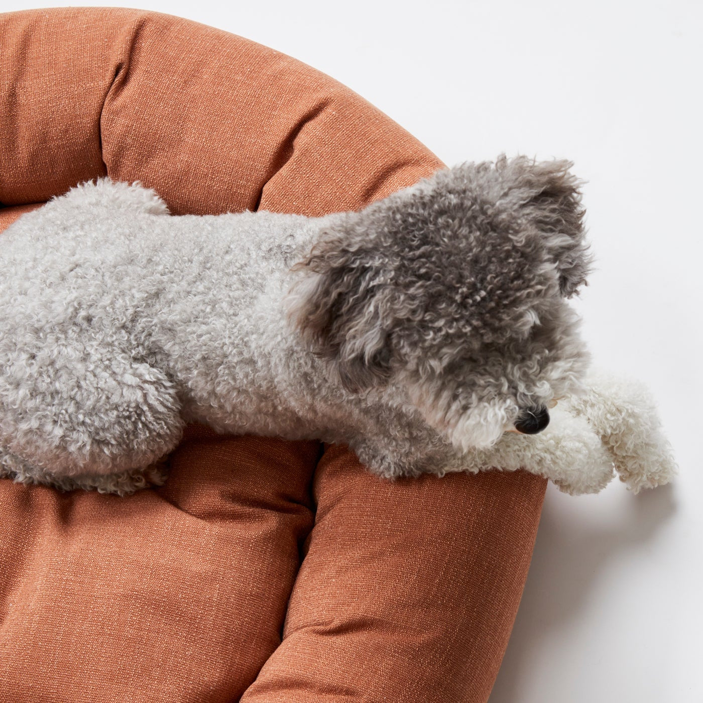 Warby Terracotta Donut Dog Bed by Jax & Bones