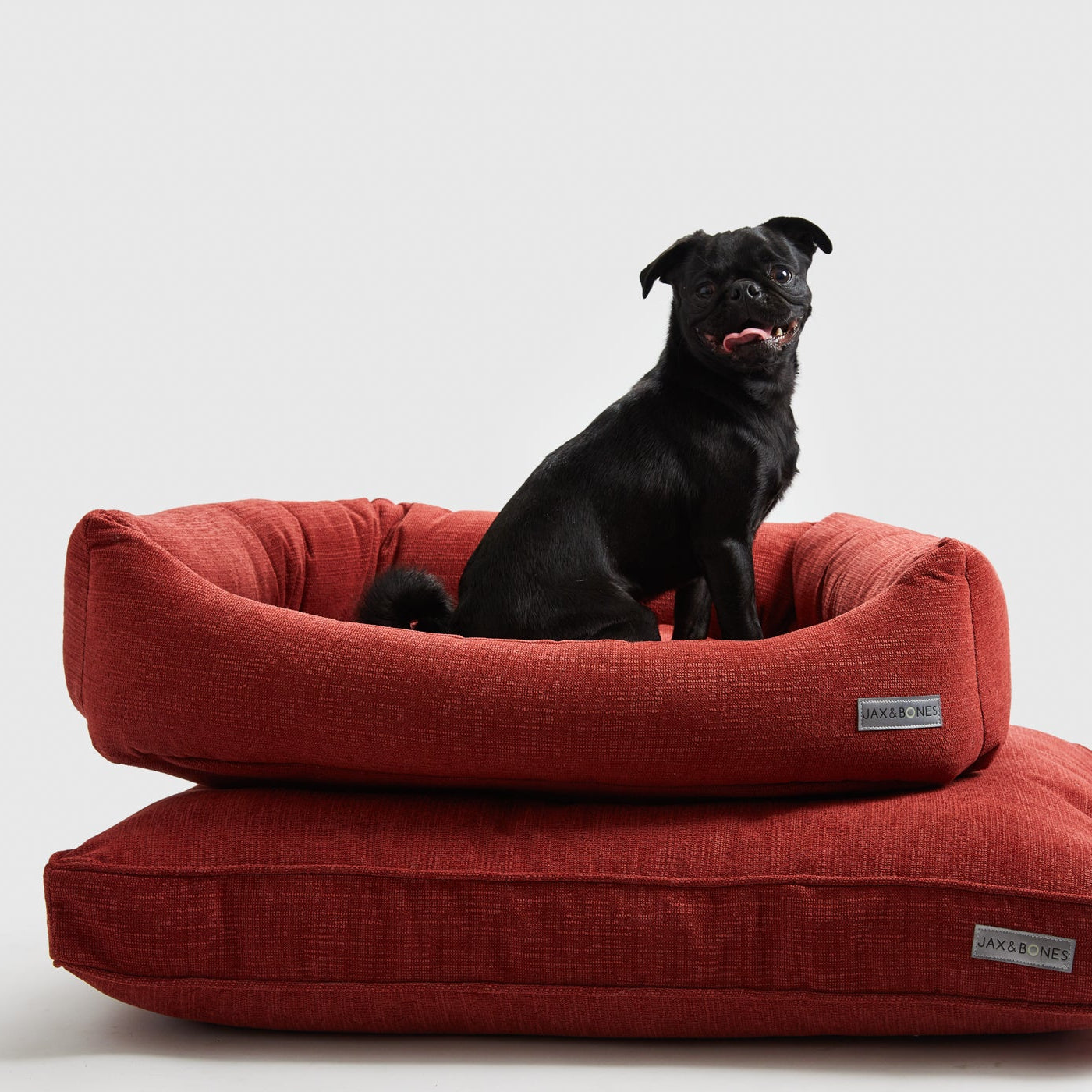 Warby Napper Dog Bed by Jax & Bones