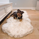 PupRug® Runner Faux Fur Memory Foam Dog Bed: Curve White with Brown Accents