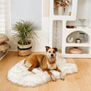 PupRug by Paw.com® Faux Fur Orthopedic Dog Bed: Curve White with Brown Accents