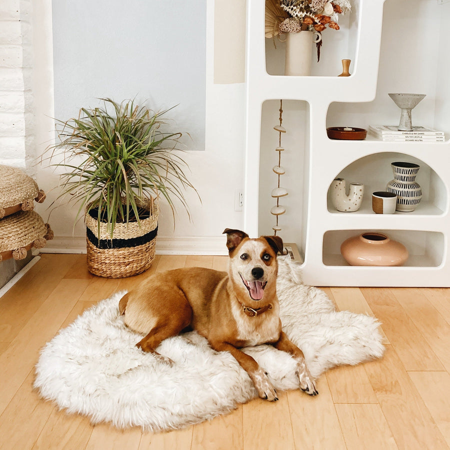 PupRug by Paw.com® Faux Fur Orthopedic Dog Bed: Curve White with Brown Accents