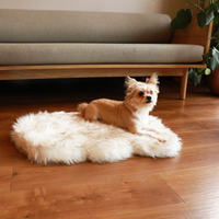 PupRug by Paw.com® Faux Fur Orthopedic Dog Bed: Curve White with Brown Accents