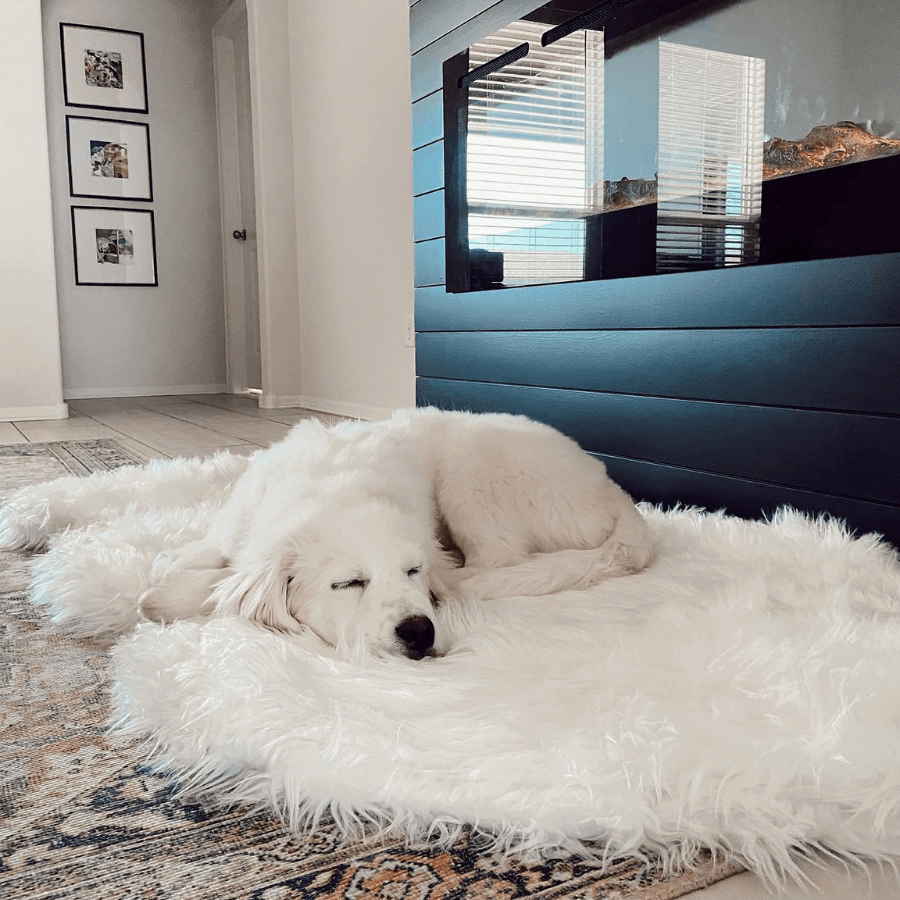 PupRug by Paw.com® Faux Fur Orthopedic Dog Bed: Curve Polar White
