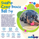 Crazy Bounce Rubber Dog Chew Toy for Power Chewers | Retrieving Ball | USA Made