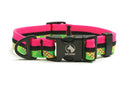 Adventure Dog Collar - Multicolor