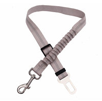 Dog Seat Belt: Adjustable & Elastic
