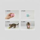 Plush Squeaker Balls (Pack of 3)