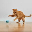Plush Squeaker Balls (Pack of 3)