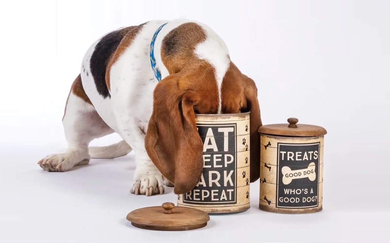 Treat Canisters