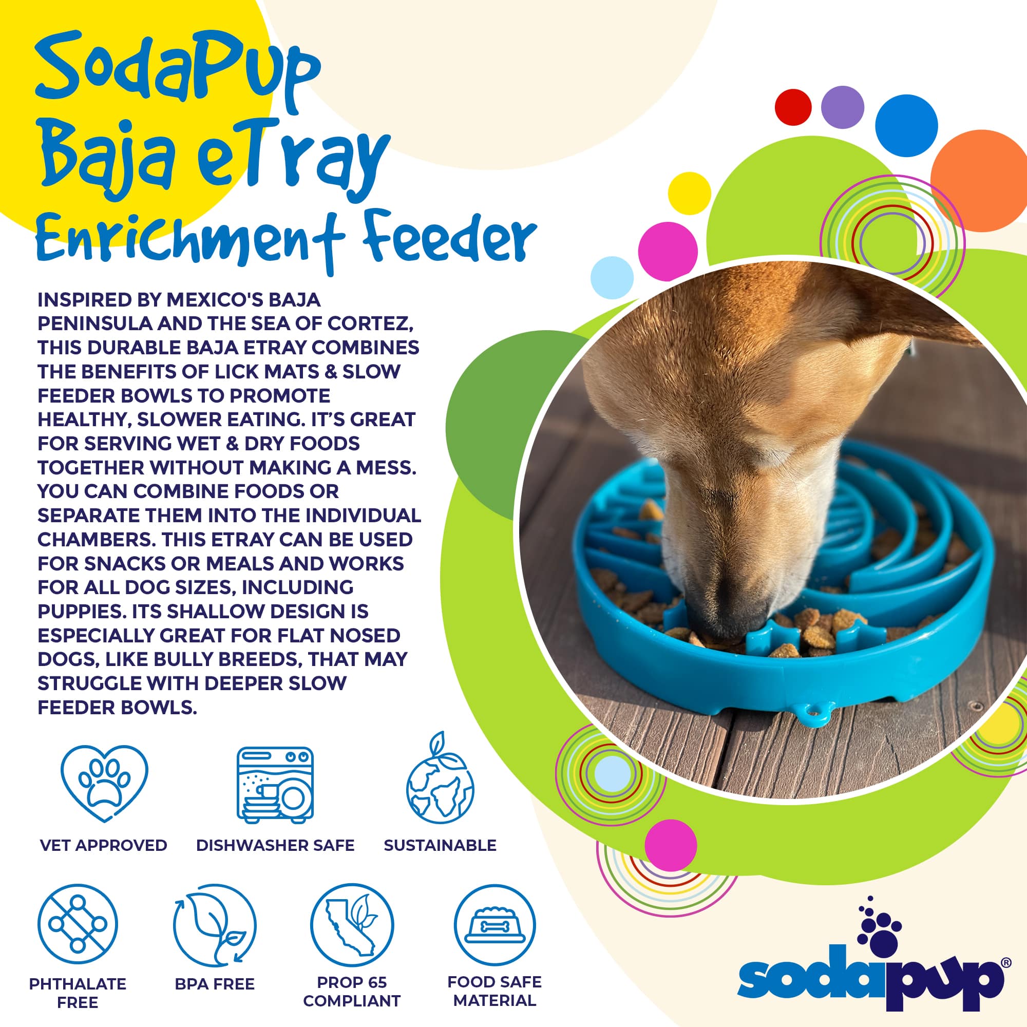 Baja Slow Feeder Dog Bowl for Enrichment - 8" diameter x 1.5" deep