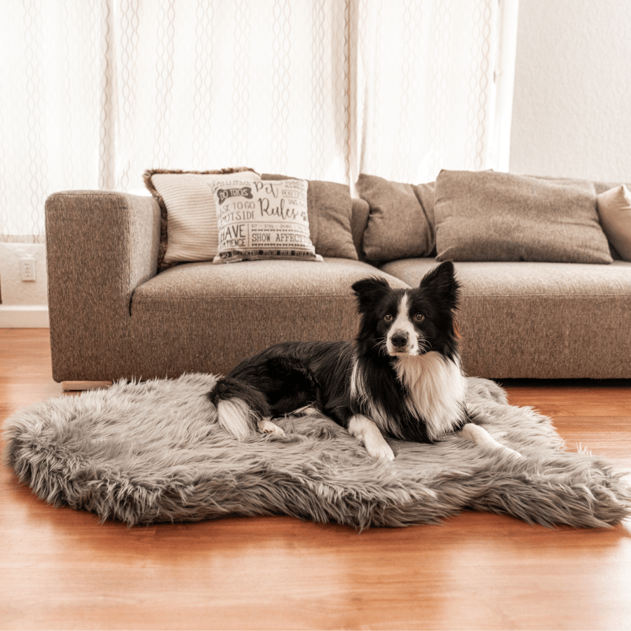 PupRug by Paw.com® Faux Fur Orthopedic Dog Bed: Curve Charcoal Grey