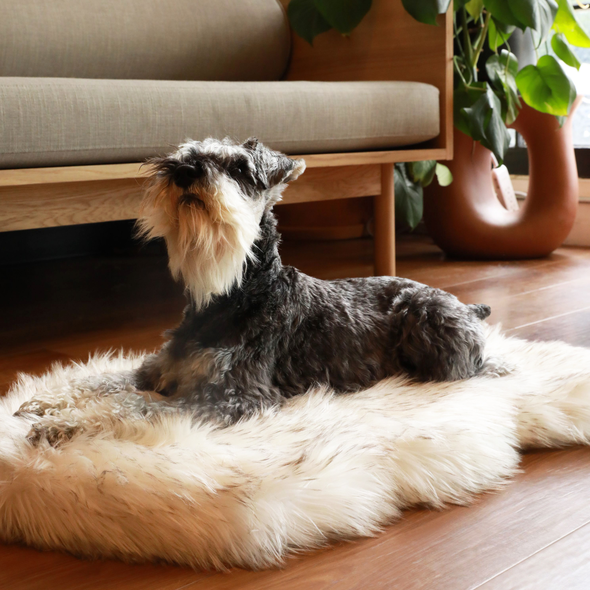 PupRug by Paw.com® Faux Fur Orthopedic Dog Bed: Curve White with Brown Accents