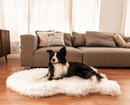 PupRug by Paw.com® Faux Fur Orthopedic Dog Bed: Curve Polar White
