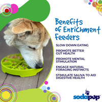 Four Seasons Slow Feeder Dog Bowl for Enrichment - 8" diameter x 1.5" deep