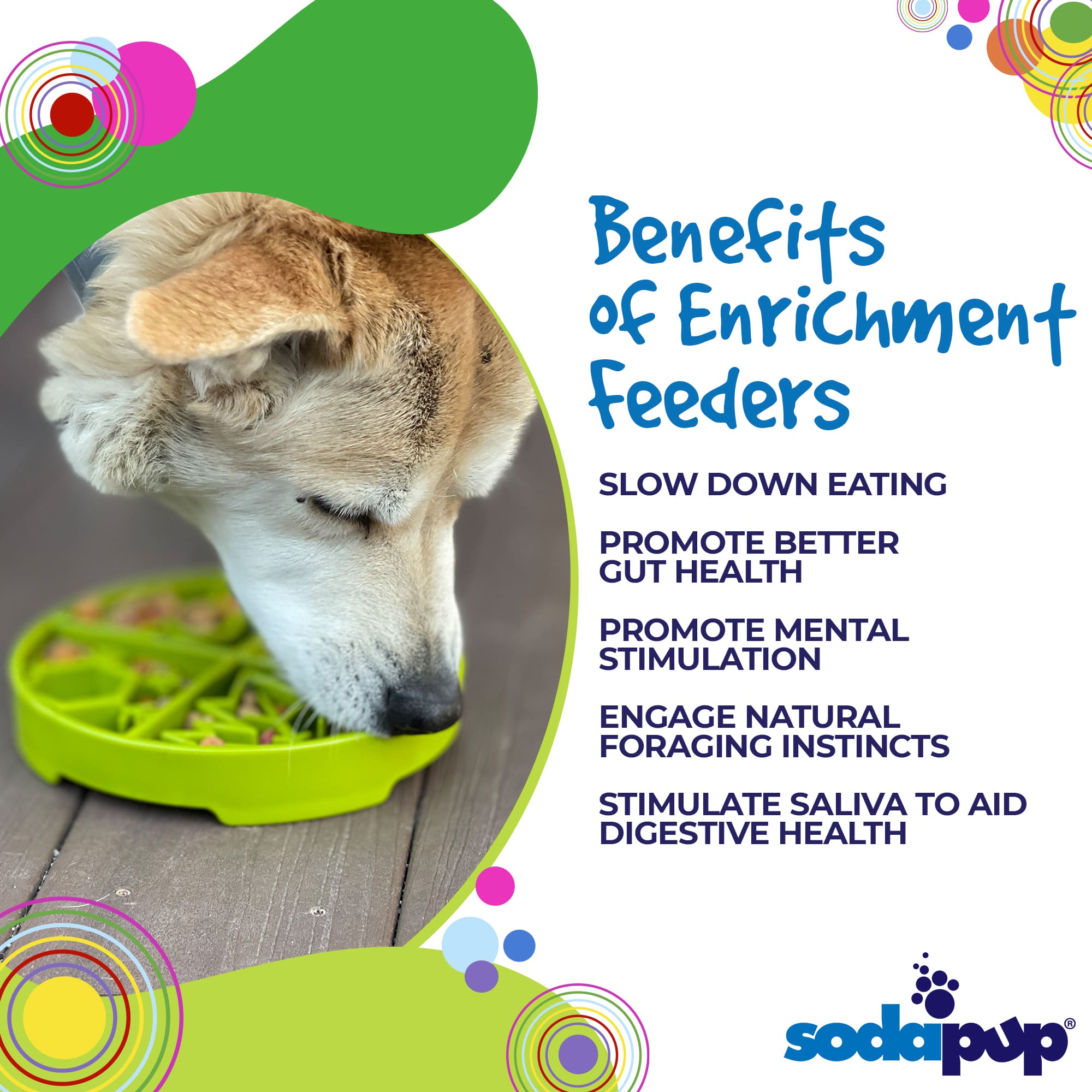 Four Seasons Slow Feeder Dog Bowl for Enrichment - 8" diameter x 1.5" deep