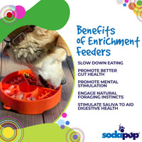 Great Outdoors Slow Feeder Dog Bowl for Enrichment - 8" diameter x 2" deep