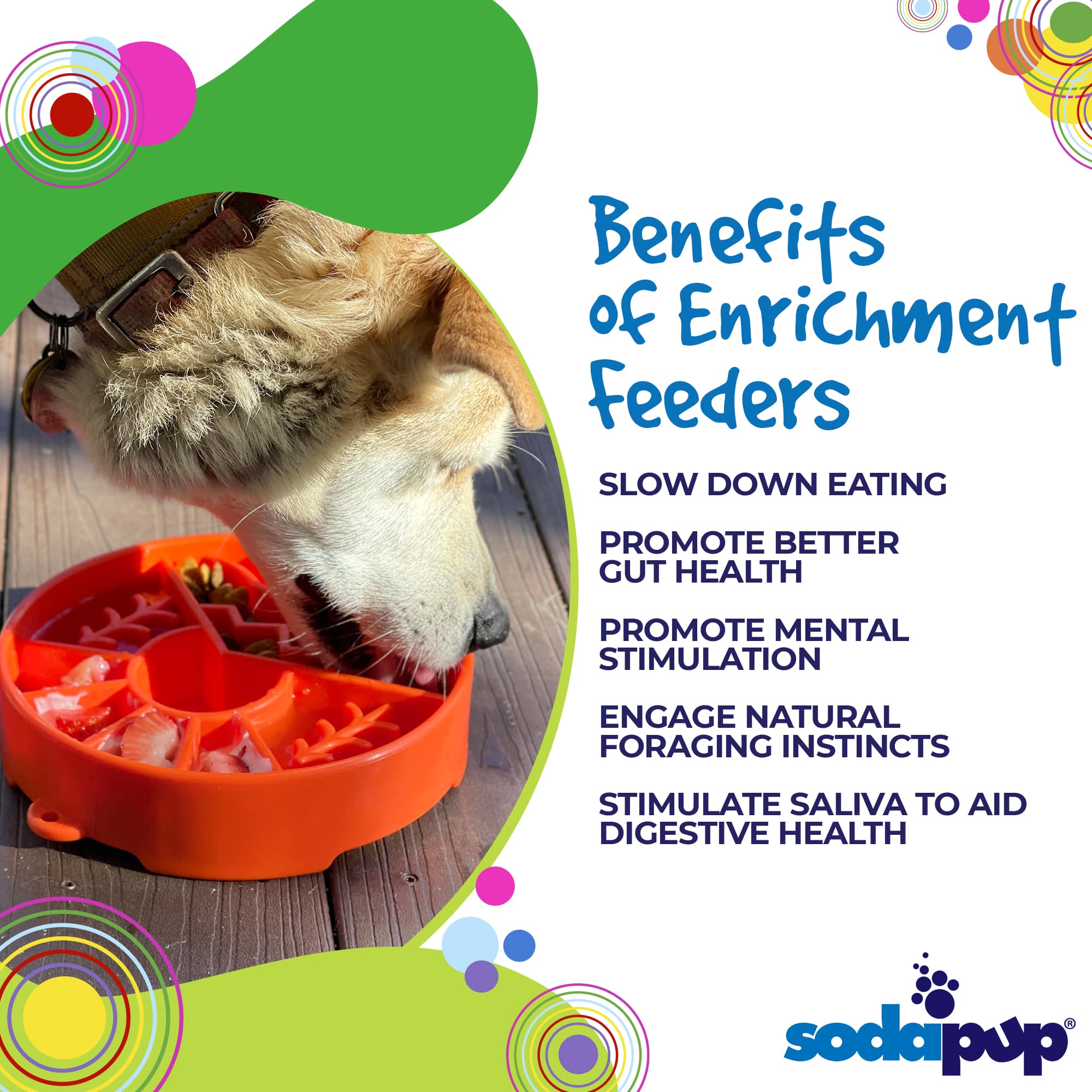 Great Outdoors Slow Feeder Dog Bowl for Enrichment - 8" diameter x 2" deep