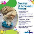 Baja Slow Feeder Dog Bowl for Enrichment - 8" diameter x 1.5" deep
