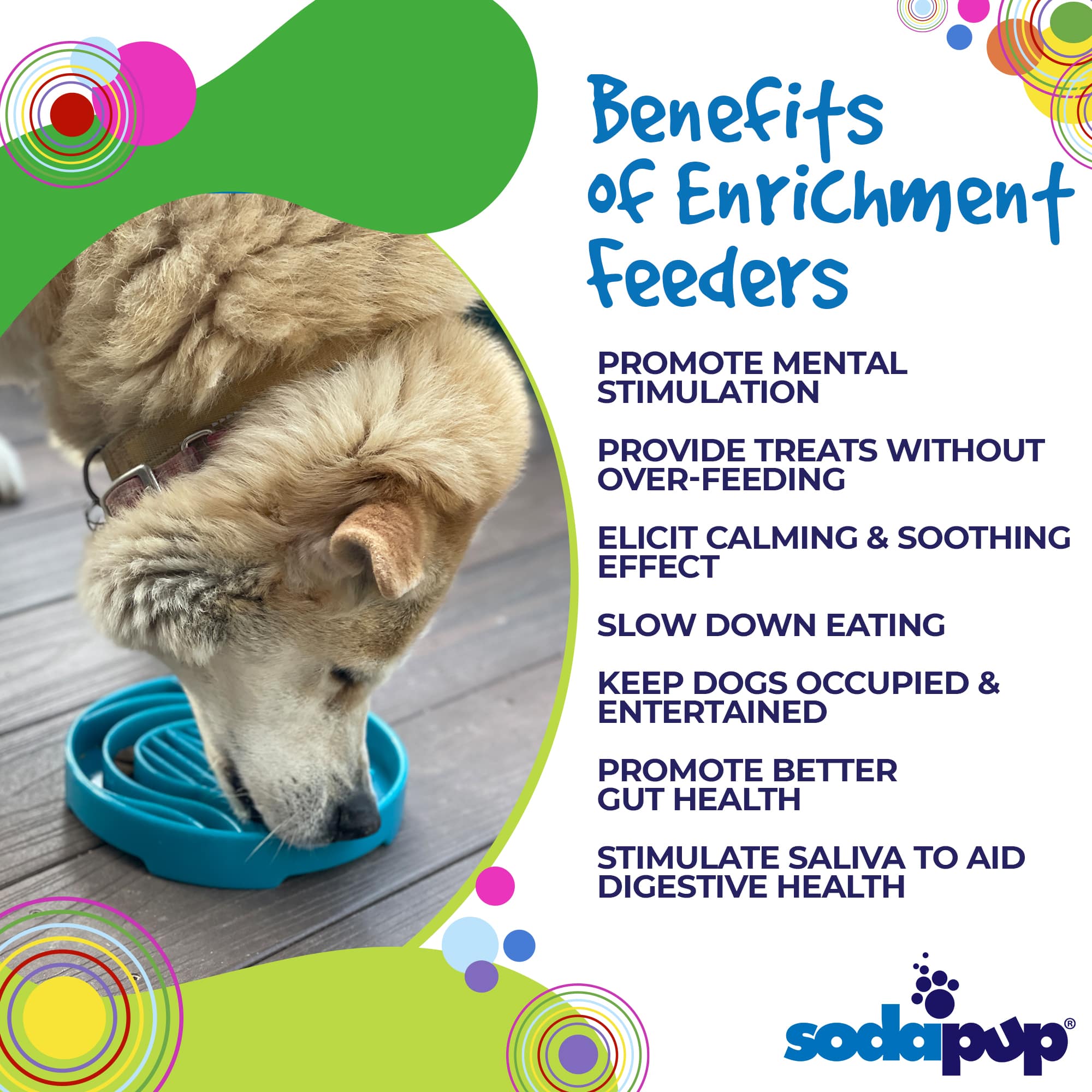 Baja Slow Feeder Dog Bowl for Enrichment - 8" diameter x 1.5" deep