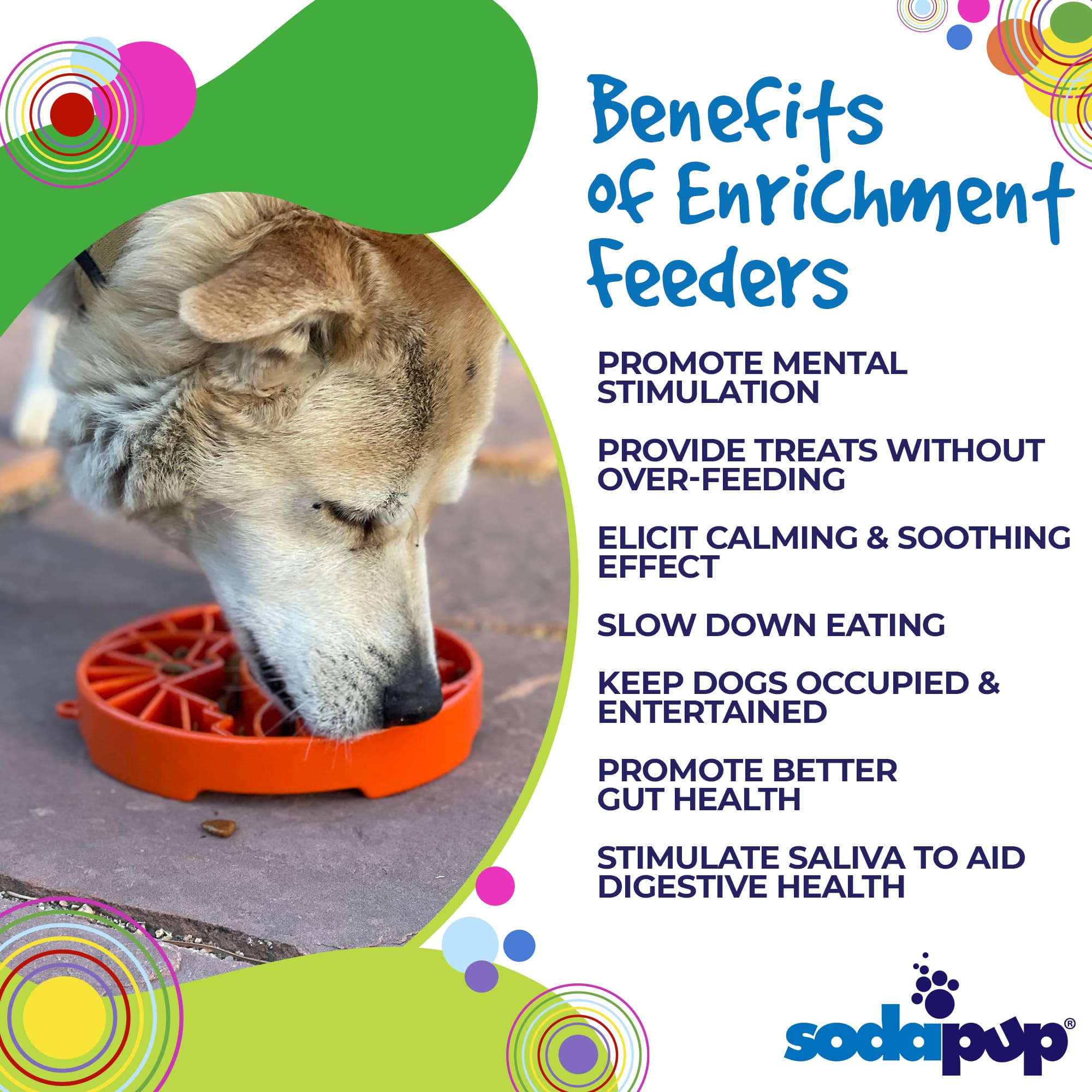 Sun and Moon Slow Feeder Dog Bowl for Enrichment - 8" diameter x 1.5" deep
