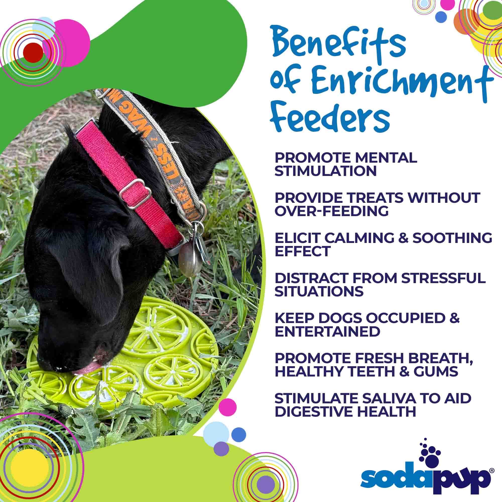 Citrus Enrichment Lick Mat with Suction Cups - 8"
