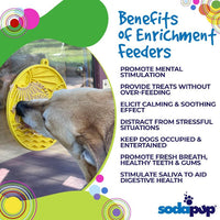 Sun n' Sea Enrichment Lick Mat with Suction Cups - 8"