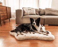 PupRug® Animal Print Memory Foam Dog Bed: Brown Faux Cowhide