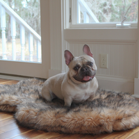 PupRug by Paw.com® Faux Fur Orthopedic Dog Bed: Curve Sable Tan
