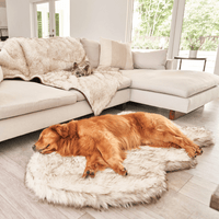PupRug by Paw.com® Faux Fur Orthopedic Dog Bed: Curve White with Brown Accents