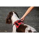Quest No-Pull Dog Harness