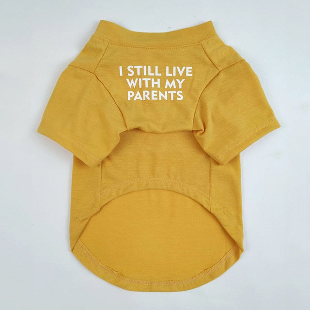 Yellow / 2XL