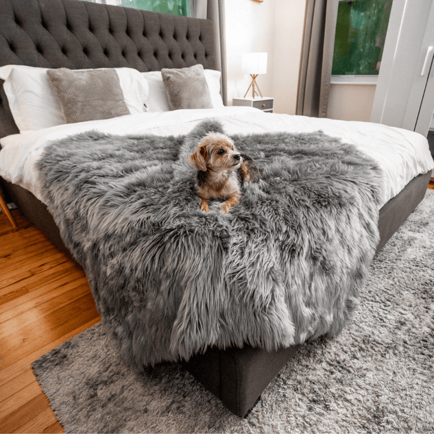 Gray Faux-Fur Waterproof Blanket