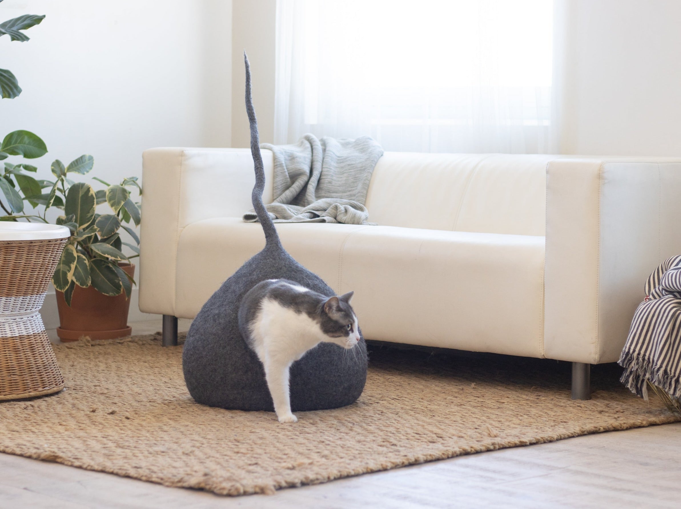 Whimsical Cat Tail Cave Bed