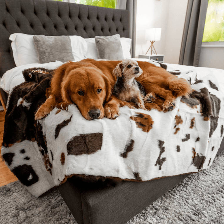 Cowhide Faux-Fur Waterproof Throw Blanket