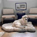 PupRug by Paw.com® Faux Fur Orthopedic Dog Bed: Curve White with Brown Accents