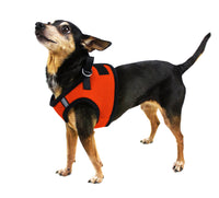 Boston Mesh Dog Harness - 1 Hook & Loop Patch Fastener
