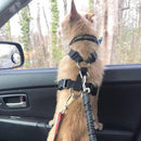 Dog Seat Belt: Adjustable & Elastic